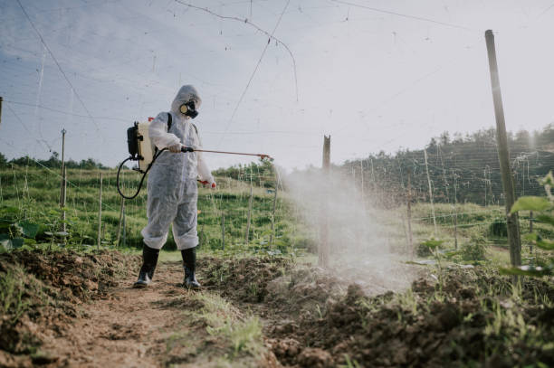 Best Pest Prevention Services  in Emsworth, PA