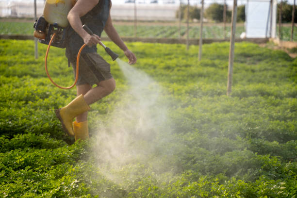 Best Pest Control Near Me  in Emsworth, PA