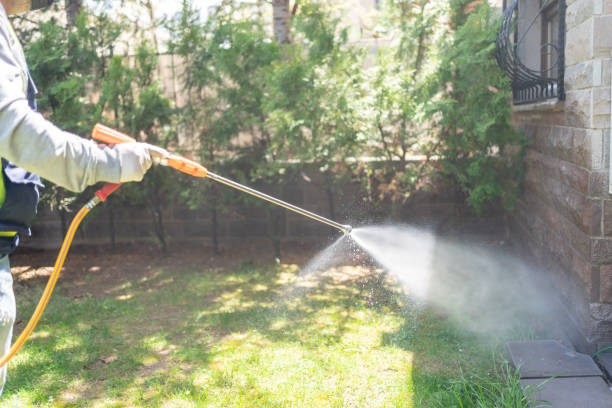 Wasp Removal Services in Emsworth, PA