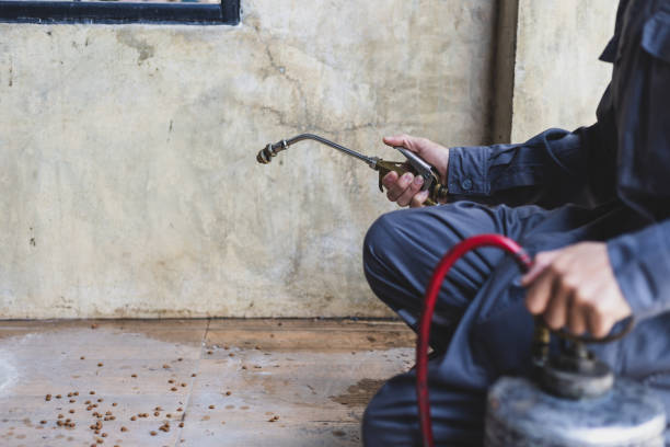 Best Affordable Pest Control Services  in Emsworth, PA